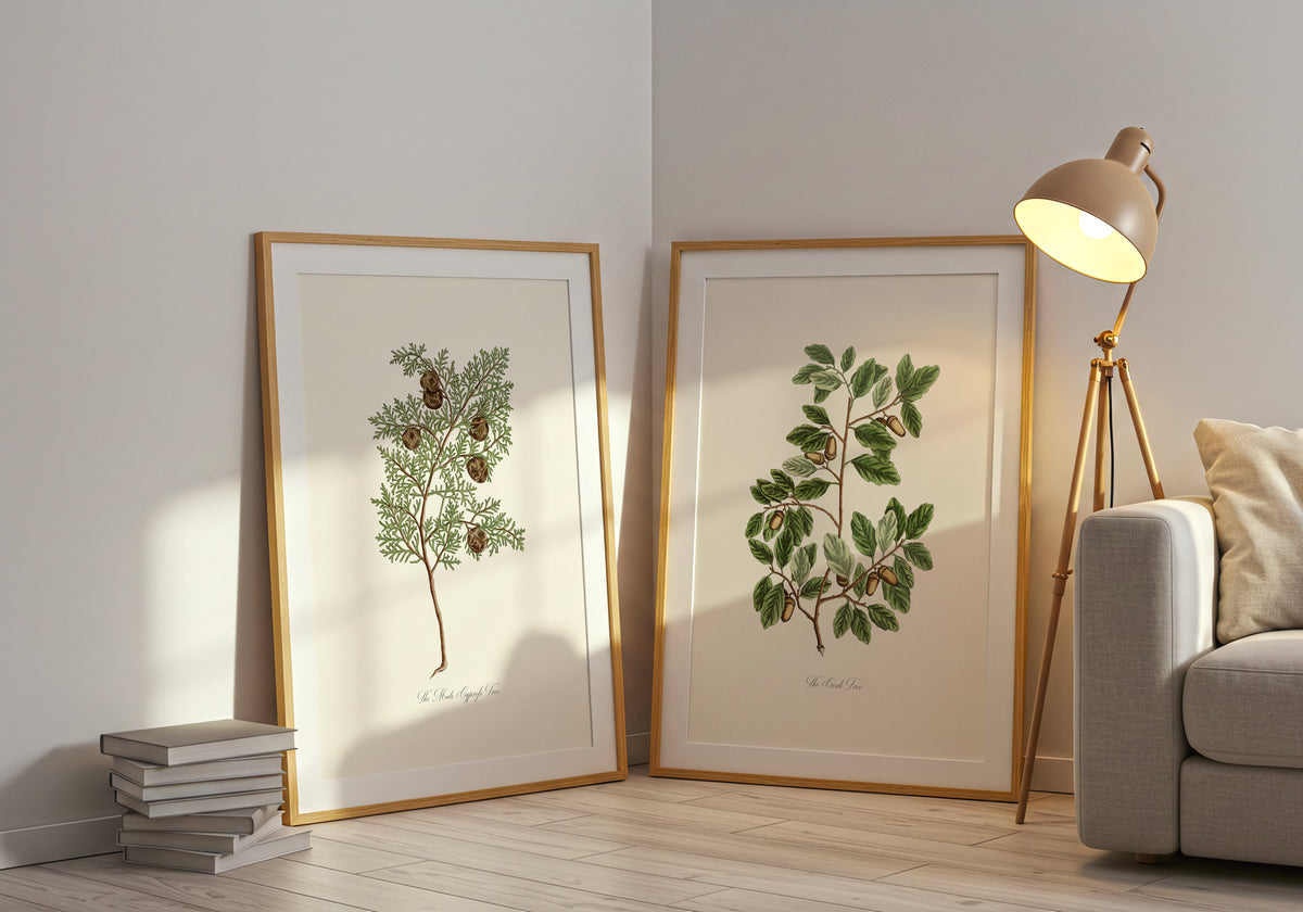 The Wild Pine - Le pin sauvage ou Pin sylvestre