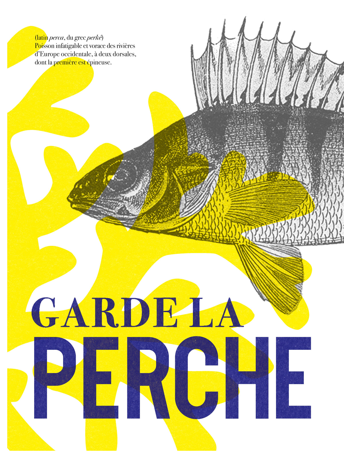 Image Alt Text