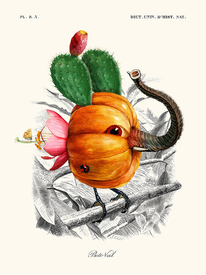 Image Alt Text