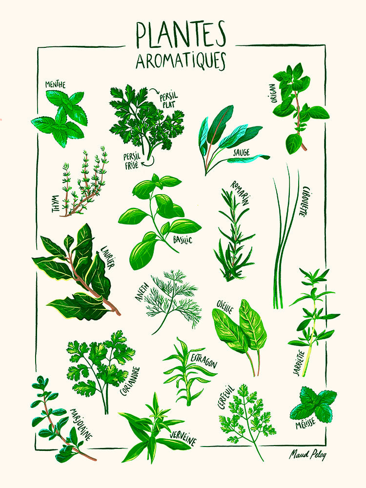 Image Alt Text