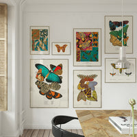 Papillons Séguy PL19