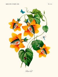 Spiritus fishes de Béto Val