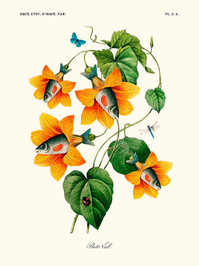 Spiritus fishes de Béto Val