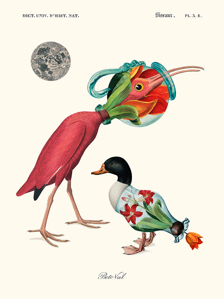 Image Alt Text