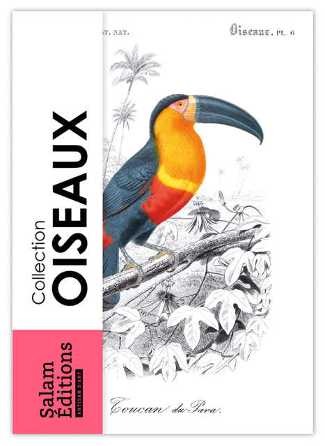 Collection "Les Oiseaux" - 10 CP