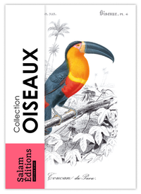 Collection "Les Oiseaux" - 10 CP