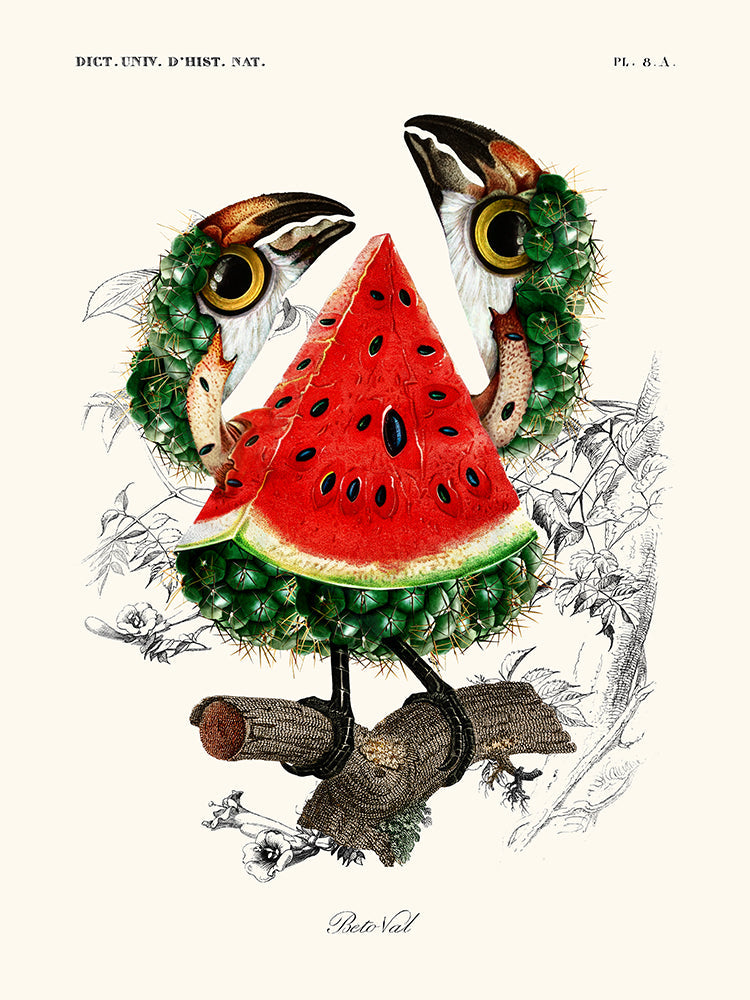 Image Alt Text