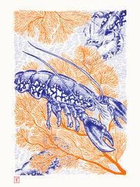 Écrin corail