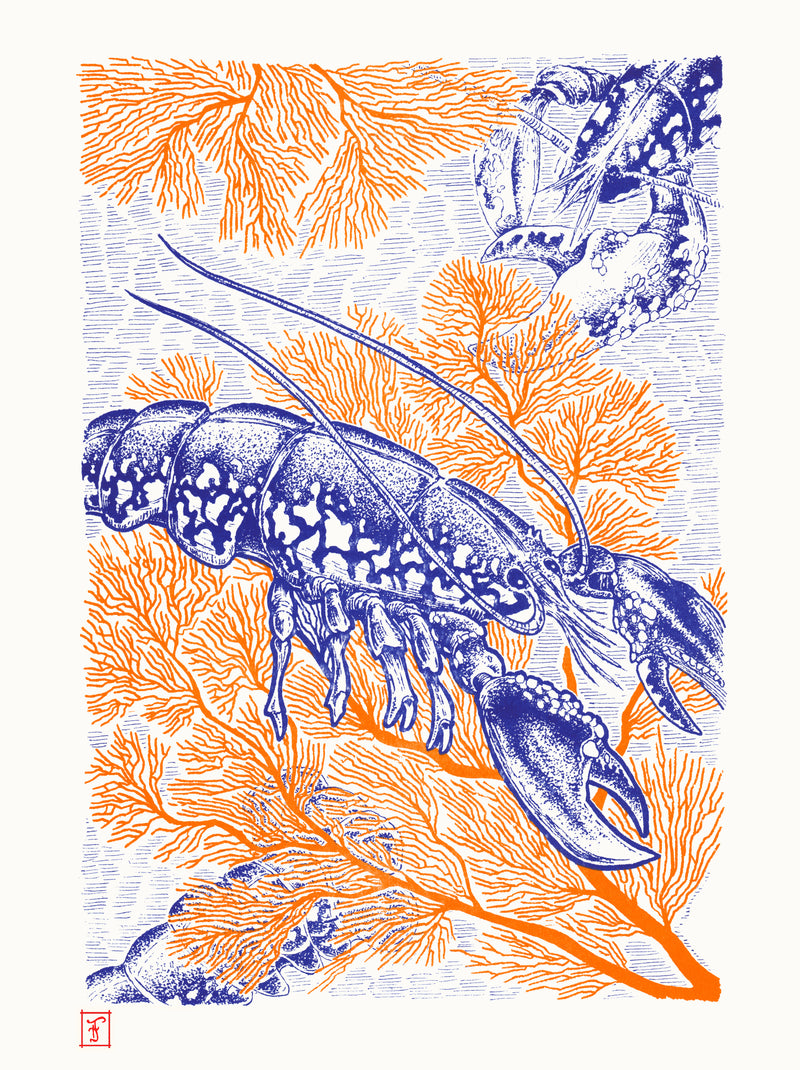 Écrin corail