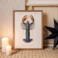 Homard