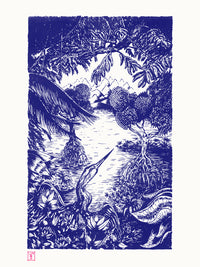 Blue mangrove