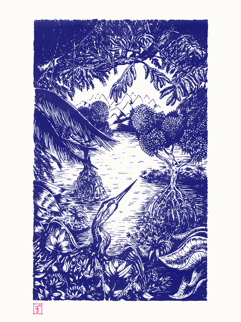 Blue mangrove