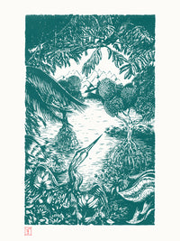 Blue mangrove