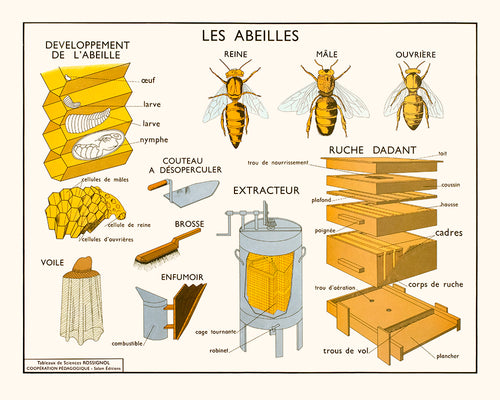 Les abeilles