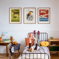 Toucan