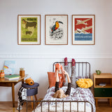 Toucan