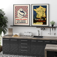 The vineyards of France