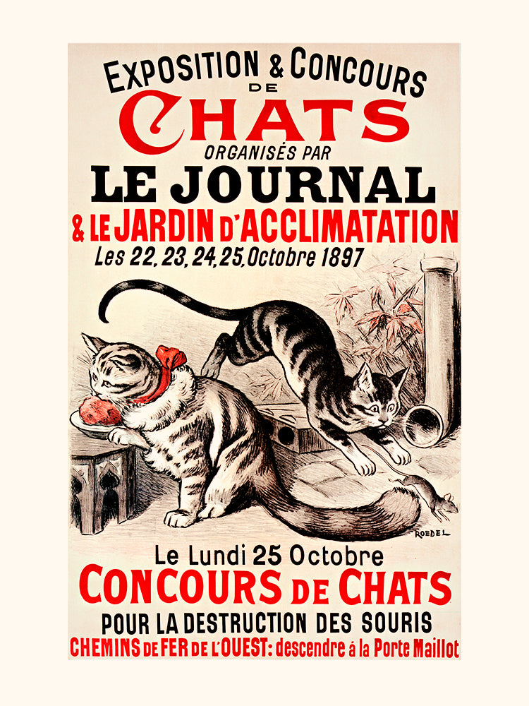 Exposition et concours de chats