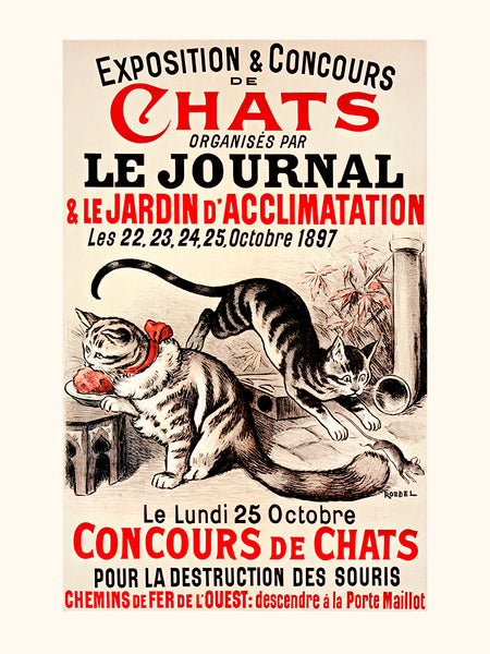 Exposition et concours de chats