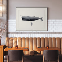 Sperm whale
