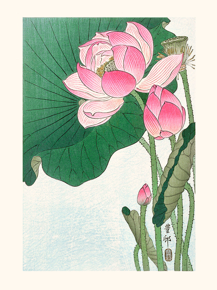 Ohara Koson, Fleur de lotus 1910-1912