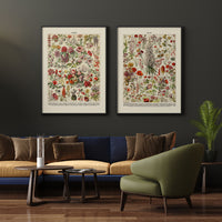 perennial flowers