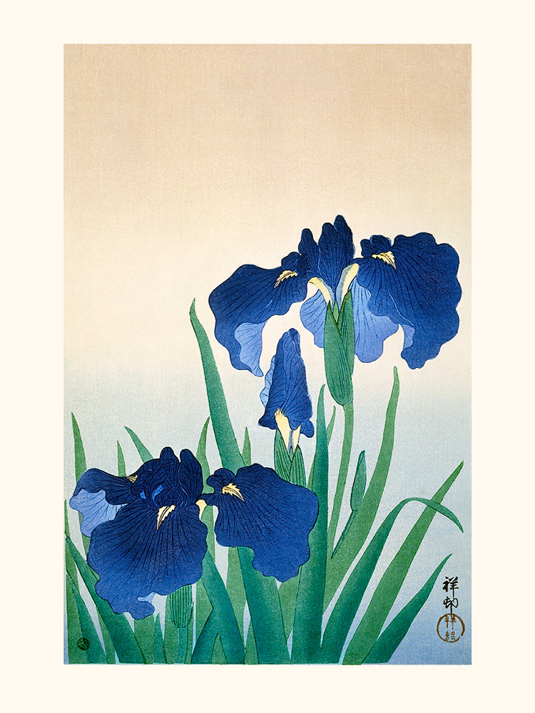 Ohara Koson, Flor de iris 1925-1936