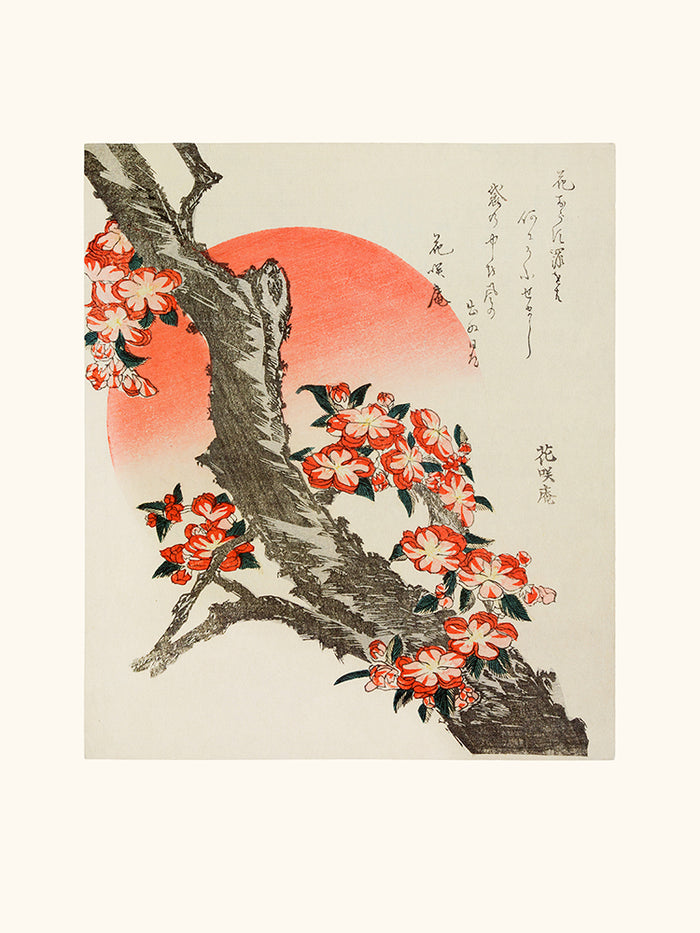 Rama de flor de cerezo HOKUSAI 1890