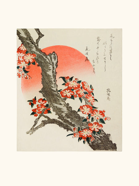 HOKUSAI Branche de cerisier en fleurs 1890