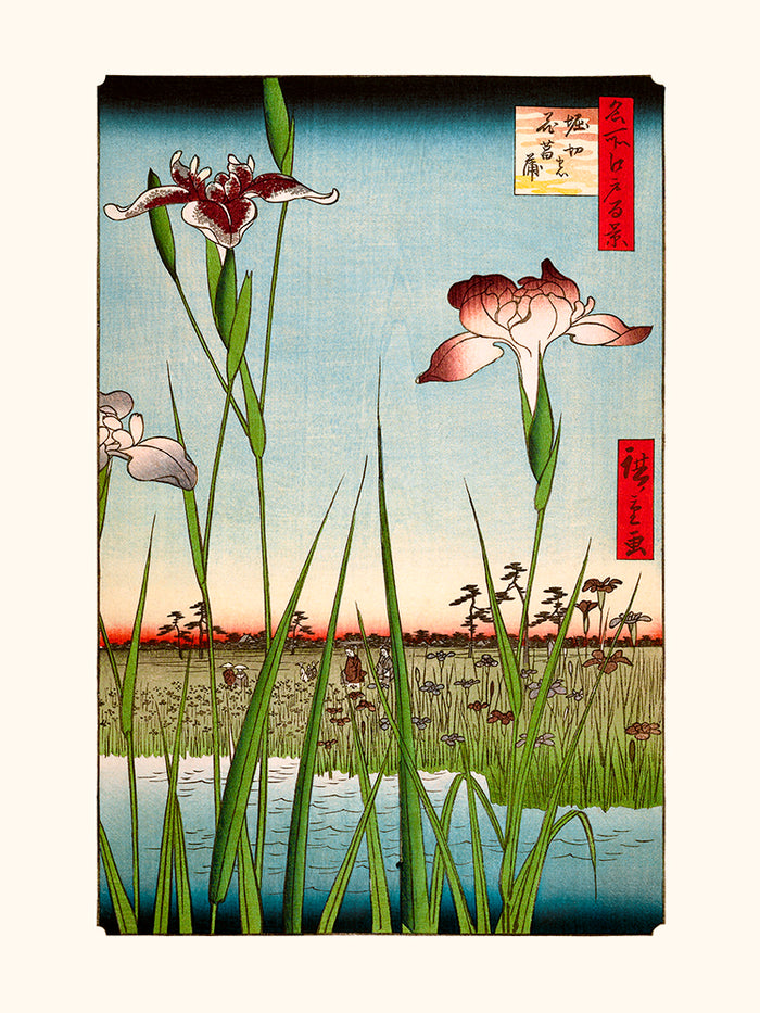 Hiroshige Utagawa, Irises at Horikiri 1857