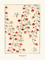 Japanese Pattern 8