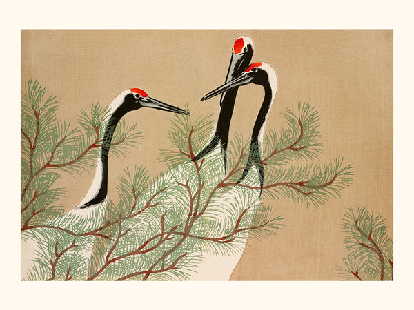 Kamisaka Sekka-Cranes from Momoyogusa–Flowers of a Hundred Generations 1909