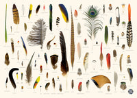 The Pen Box