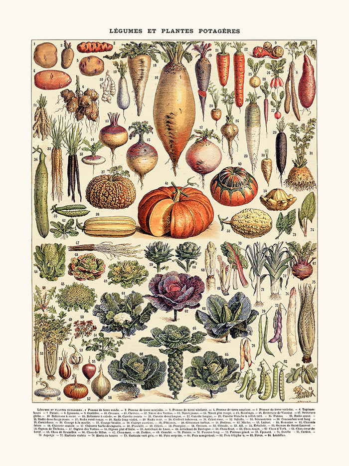 Légumes