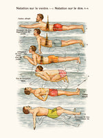 Leçon de natation
