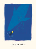 Natation by Salam