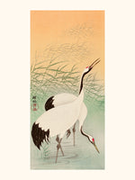 Ohara Koson 1877-1945 Two cranes