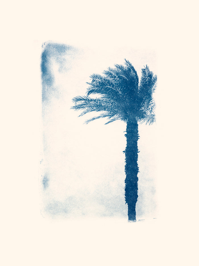 Egyptian palm