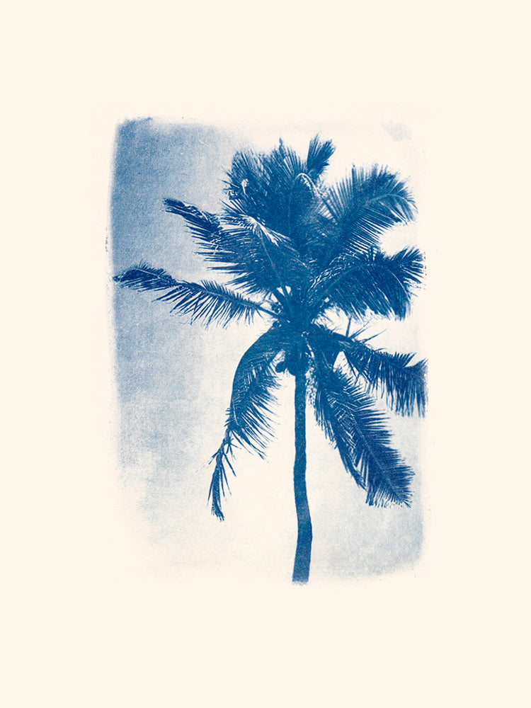Palm of Guadeloupe