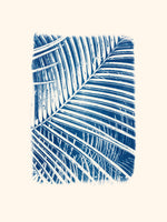 Palmier serre