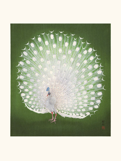 Paon de Ohara Koson