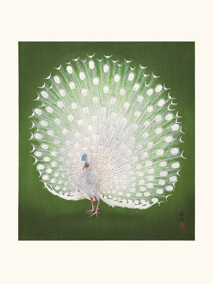 Paon de Ohara Koson