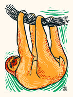 Paresseux