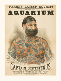 Captain Costantenus