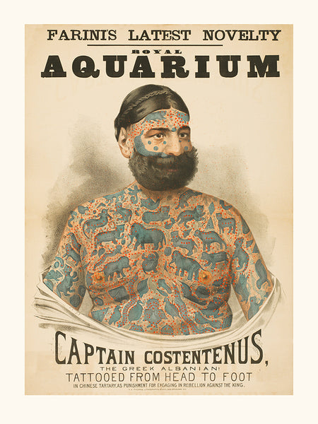Captain Costantenus