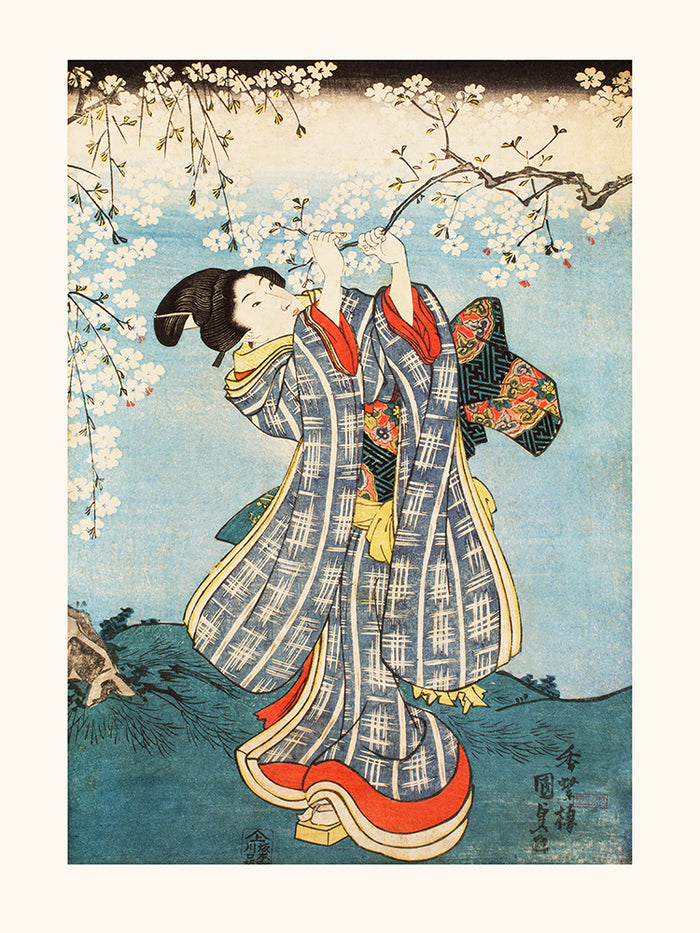 KUNISADA Beauty picking a cherry blossom branch 1843-1847