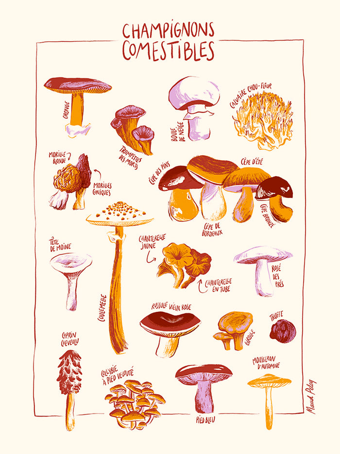Maud Peloq Mushrooms