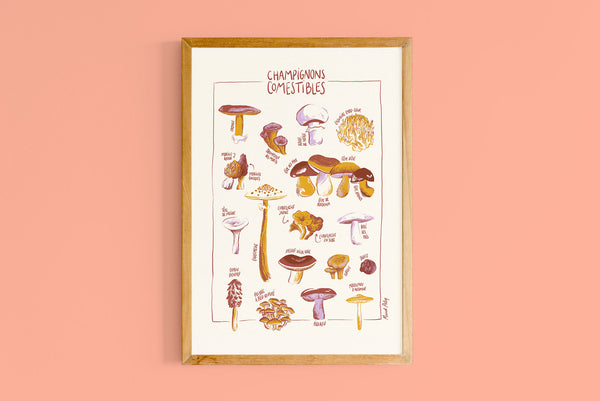 Copie de Champignons