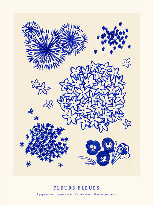 Fleurs Bleues