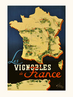 The vineyards of France